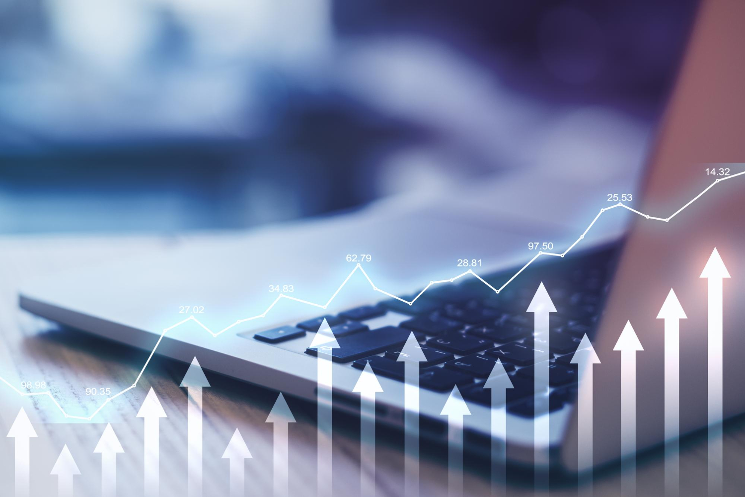Investment Management